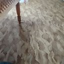 ���� ����, ���������, 47 ��� - ��������� 22 ������ 2023 � ������ ���� ����������