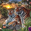 ���� ��������, �����, 51 ��� - ��������� 28 ��� 2025