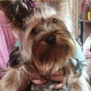 ���� �������, �������, 47 ��� - ��������� 2 ������� 2024 � ������ ���� ����������