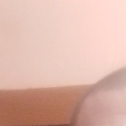 ������, ����, 47 ���