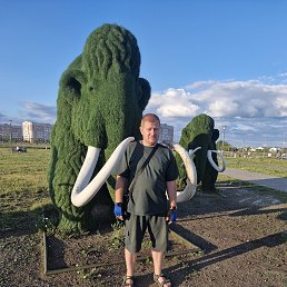 , 37, 