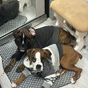 ���� Lana, ������, 45 ��� - ��������� 27 ������ 2025 � ������ ���� ����������