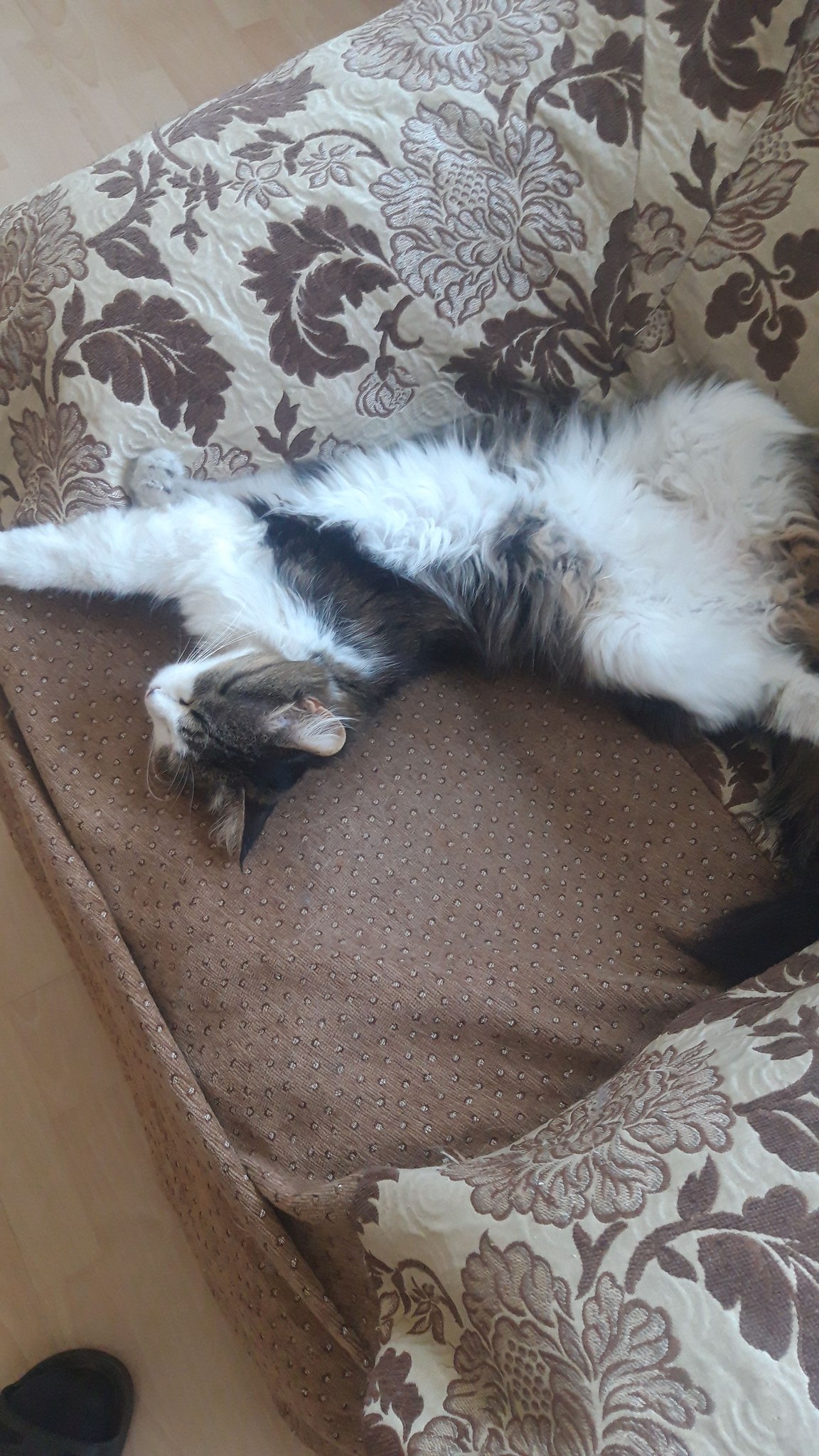 ** - 12  2025  20:49