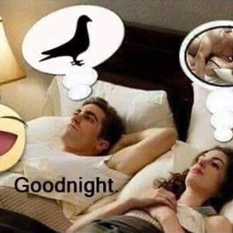 ����, ������, 44 ����