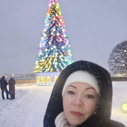 ���� ���������, �����-���������, 51 ��� - ��������� 15 ������ 2026