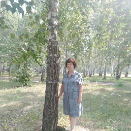 ���� ����, ������������, 68 ��� - ��������� 24 ����� 2026