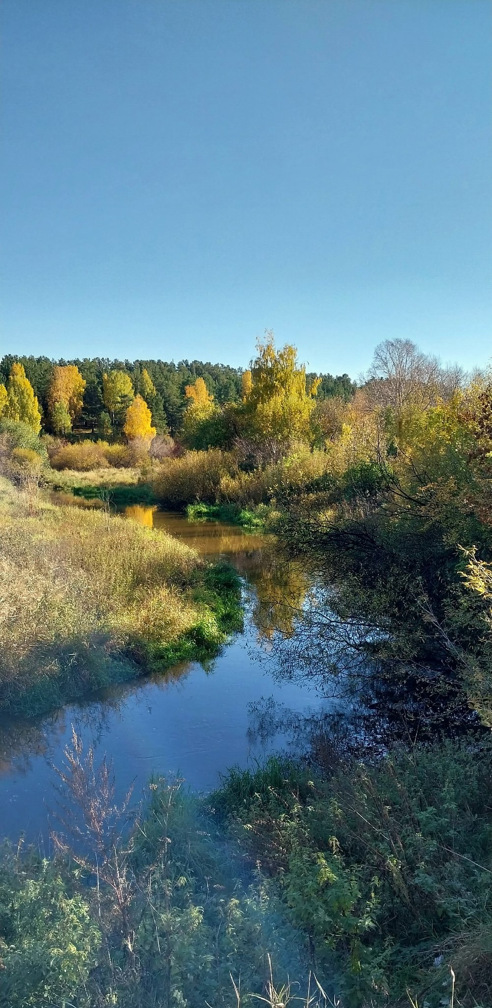 ���������, ���� �������... - 8