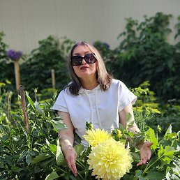 �������, ������, 65 ���