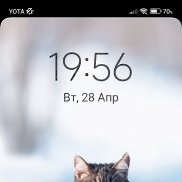 �����, 48 ���, �������-����������