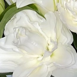 ����, ������, 46 ���