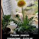 ���� �������, ������, 73 ���� - ��������� 10 ������ 2024 � ������ ���� ����������