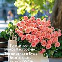 ���� ��������, ������, 84 ���� - ��������� 28 ���� 2026 � ������ ������ ��������