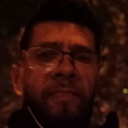 , , 51 