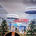 ���� Inga-sergeewna, ������ - ��������� 31 ������� 2025 � ������ �hund�