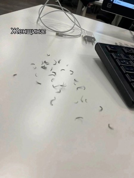 ��� ��� ������ ����, �������? - 2