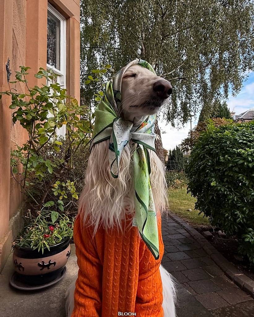 ��� �� ������ ������ � �����? ���? - 8