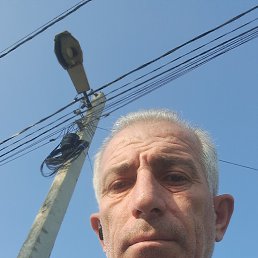 , 52, 