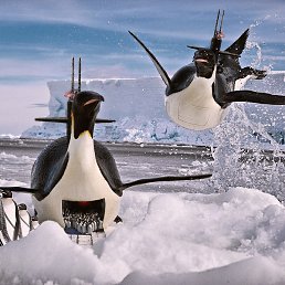 �����, �������, 46 ���