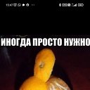 ���� �������, ������ ��������, 59 ��� - ��������� 22 ������� 2026 � ������ ���� ����������