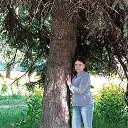 ���� ����, �����, 37 ��� - ��������� 17 ���� 2024 � ������ ���� ����������