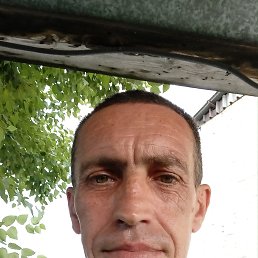 den, 46, -