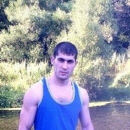 �����, ������, 33 ����