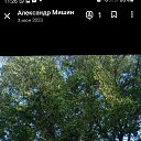 ���� ���������, ������, 61 ��� - ��������� 6 ��� 2024 � ������ ���� ����������