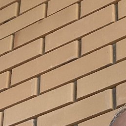 �������, ������, 50 ���