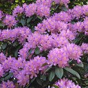 ���� ���������, �������-��������� - ��������� 9 ������ 2025 � ������ ������� ����������