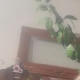 ����, ������, 48 ���