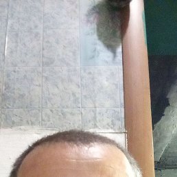 ��������, ������, 40 ���