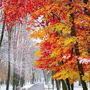 ���� ���, ������, 40 ��� - ��������� 24 ������� 2023 � ������ ���� ����������