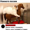 ���� Benvolio, ��������, 42 ���� - ��������� 8 ������� 2026 � ������ ������ ��������