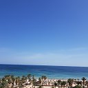  Dmitrijus, , 56  -  2  2024    