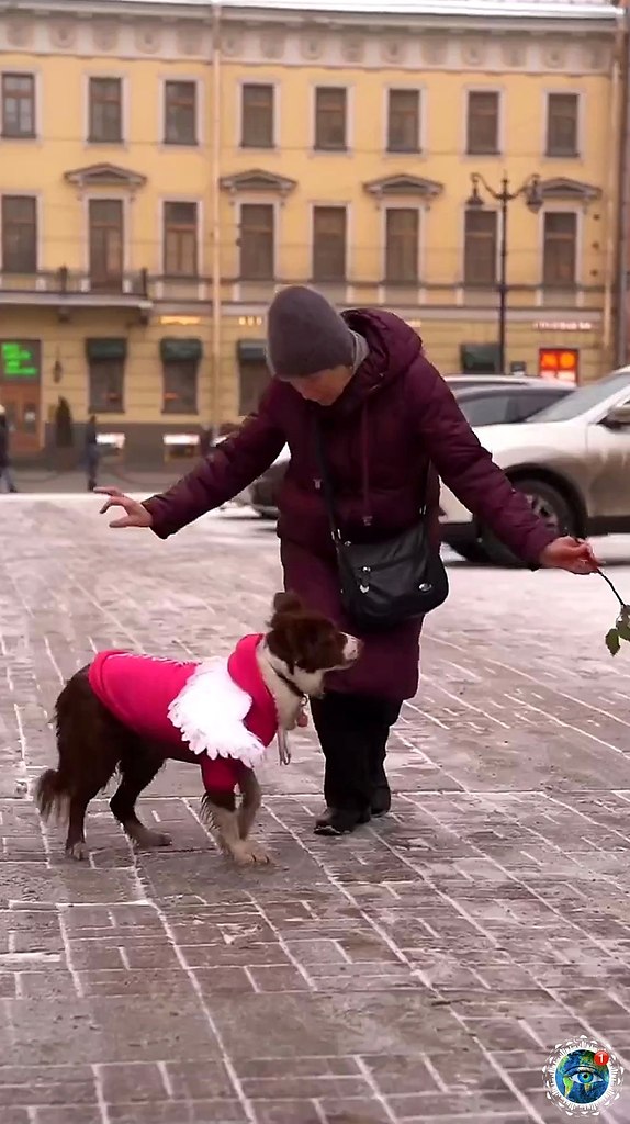 ao ec ap!   poco oepa ap pe o ocopa  e!