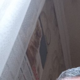 ������, ������, 41 ���