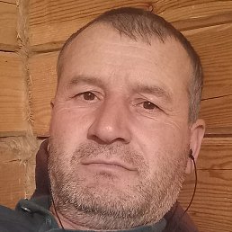 �����, �������, 46 ���