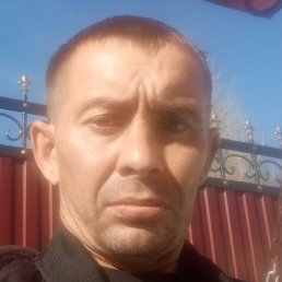 ������, ������, 42 ����