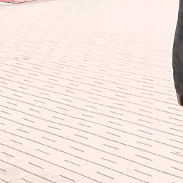 �����, ������, 57 ���