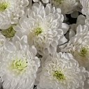 ���� ����, �������, 56 ��� - ��������� 23 ������ 2024 � ������ ���� ����������