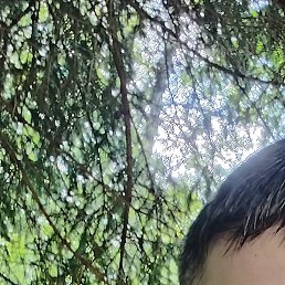 ������, ������, 38 ���