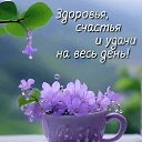 ���� ����, ����� - ��������� 13 ��� 2026 � ������ ������ ��������
