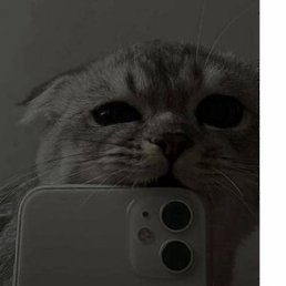 ����, �����-���������, 30 ���