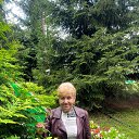 ���� ������, ����, 68 ��� - ��������� 9 ������� 2024 � ������ ���� ����������