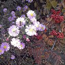 ���� �����, ����, 67 ��� - ��������� 6 ������� 2024 � ������ �������