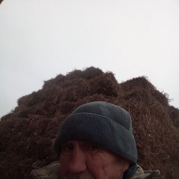 ����, ������, 37 ���