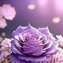 ���� �����, �������, 35 ��� - ��������� 15 ������ 2026 � ������ ���� ����������