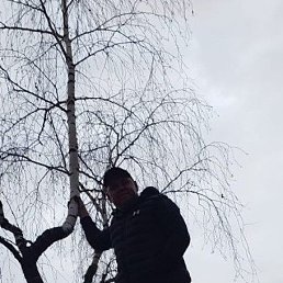 ���� ������, �����������, 49 ��� - ��������� 23 ������� 2023