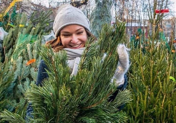 Ой, какой же классный урок я получила!!! Просто восторг. Остановилась около ёлочного базарчика ...