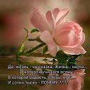 ���� Alekcandr, ������ - ��������� 4 �������� 2024 � ������ ������ ��������